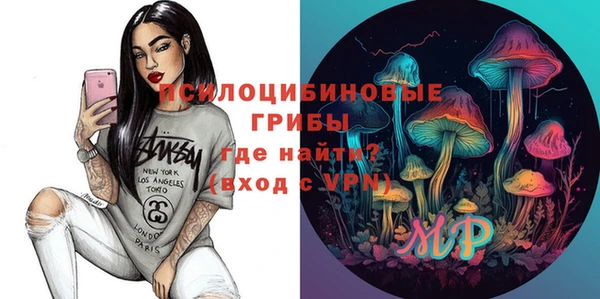 герыч Ладушкин