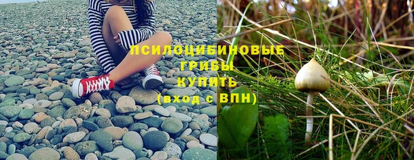 круглые Лагань
