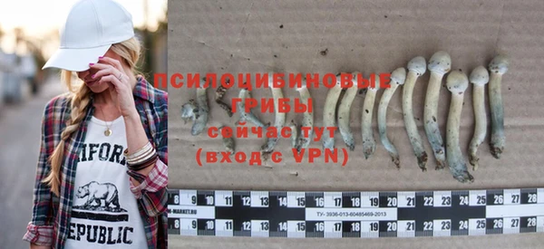 герыч Ладушкин