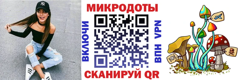Псилоцибиновые грибы Psilocybe  Купить закладки  Звенигород 